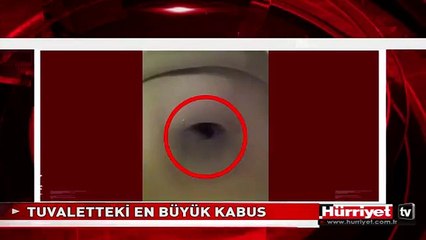 TUVALETTEKİ KABUSU GERÇEK OLDU! DEV FARE KAFAYI BÖYLE UZATTI