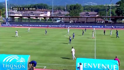 Fenerbahçe Fulham maç özet