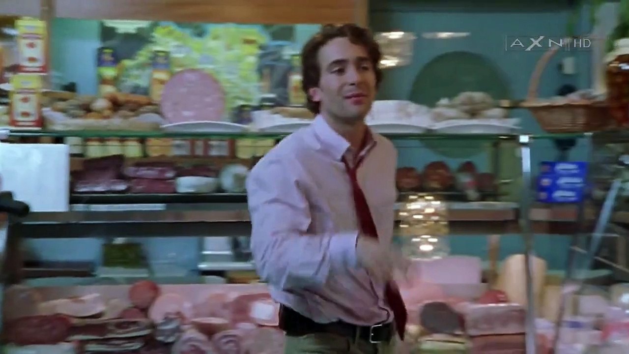 Kommissar Rex Staffel 8 Folge 1 HD Deutsch