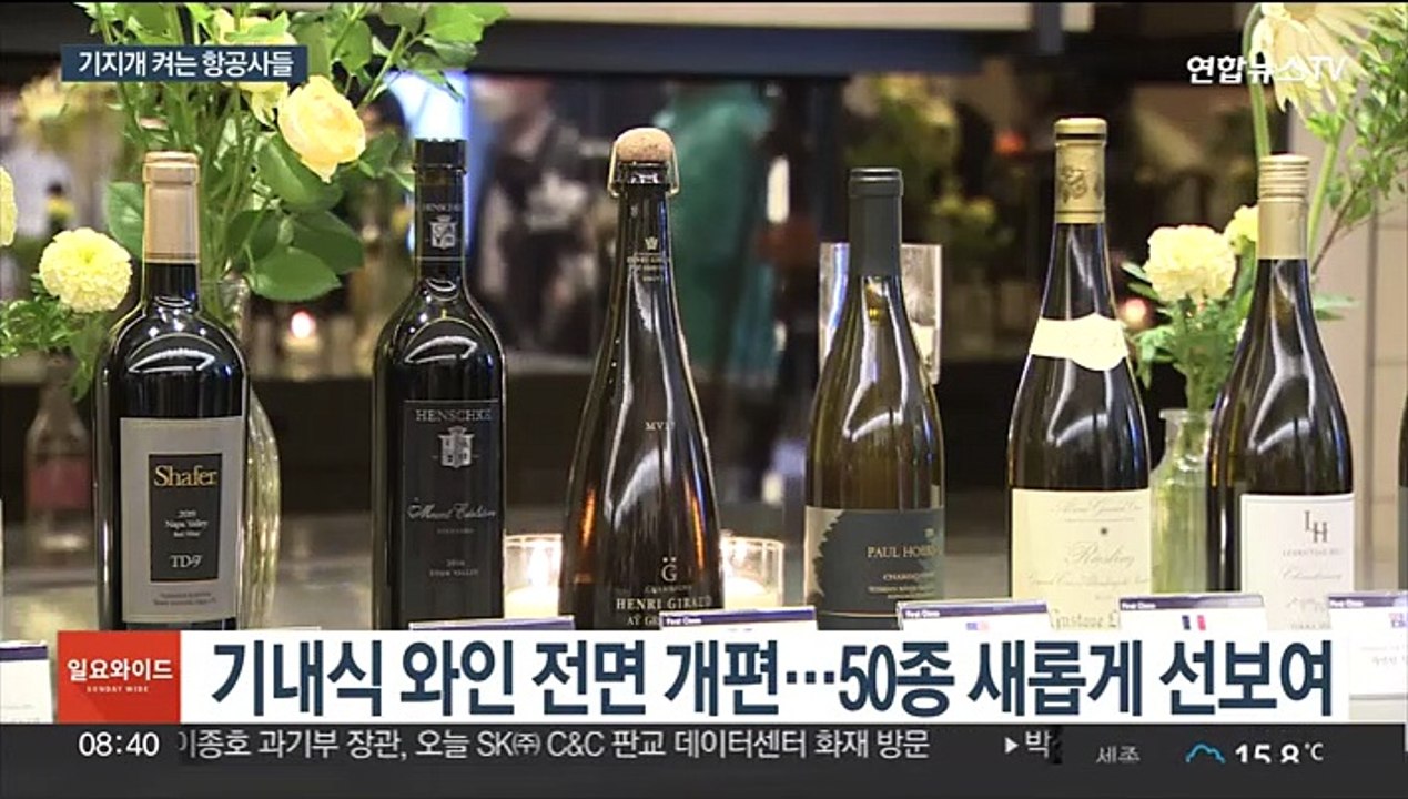 기내식 바꾸고 노선 확충…손님 맞이 분주한 항공사