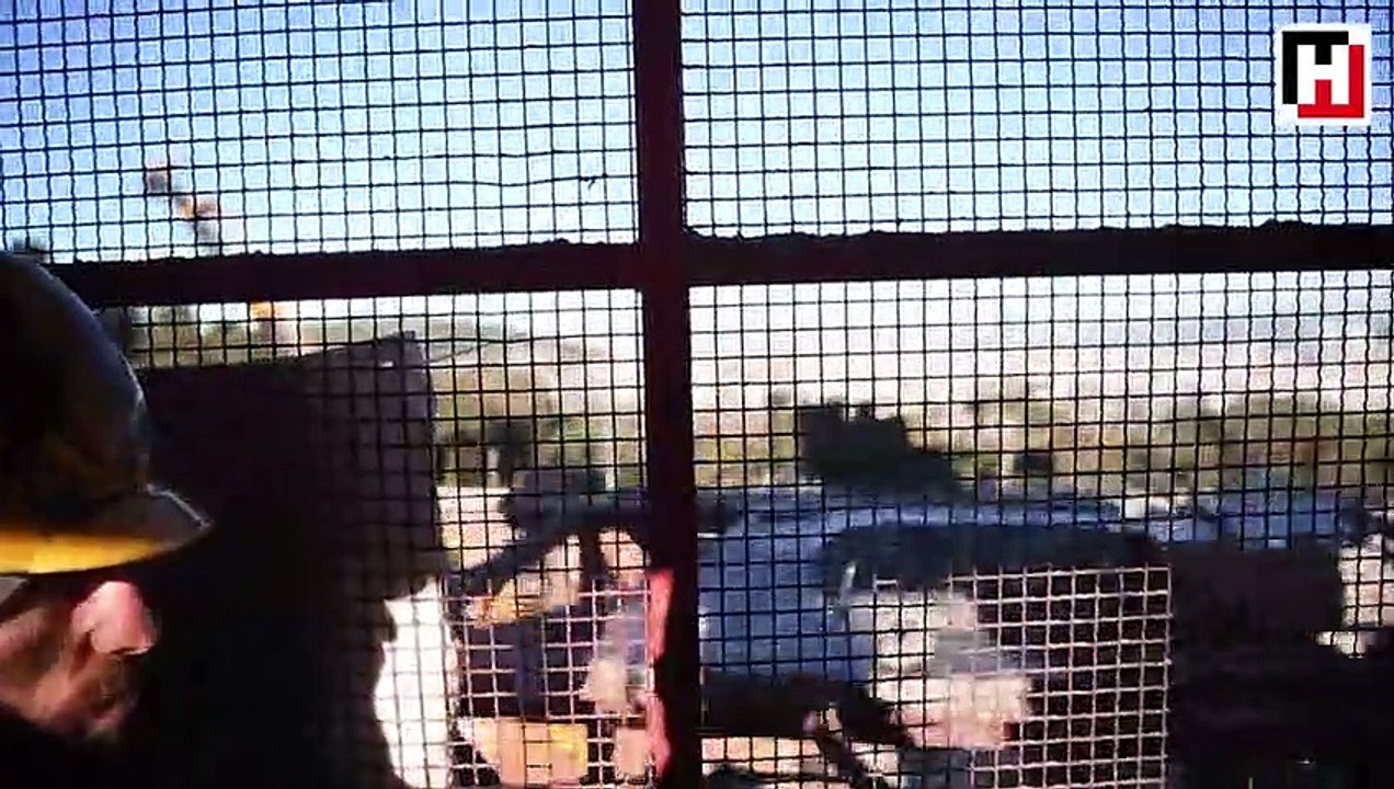 Kartal bakışı
