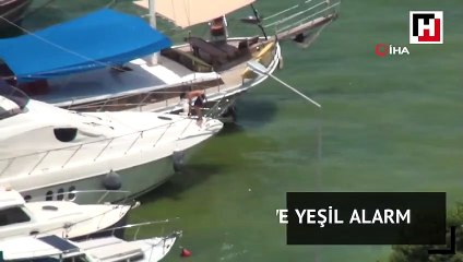 Fethiye Körfezinde sarı ve yeşil alarm