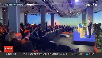 석탄 대신 수소로 만드는 '그린 철강' 뜬다