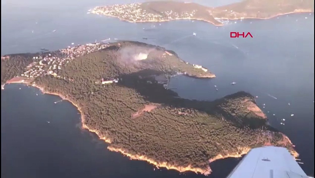 Three detained over Heybeliada forest fire