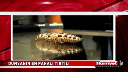 İŞTE DÜNYANIN EN PAHALI TIRTILI