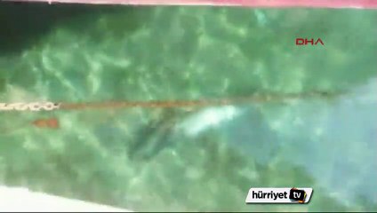 Muğla'da 50 yıl sonra bir ilk