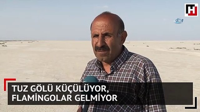 Tuz Gölü küçülüyor, flamingolar gelmiyor