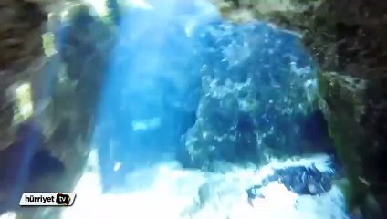 Burada yüzmek cesaret ister:Florida Springs