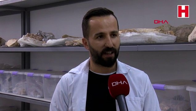 Veterinerin bulduğu 7,5 milyon yıllık fosil, file ait çıktı