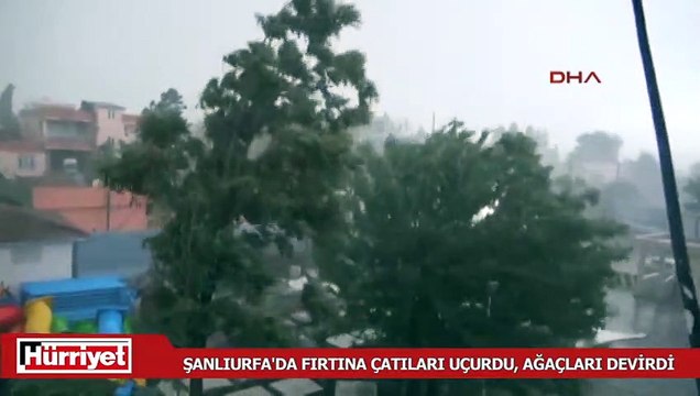 Şanlıurfa Ceylanpınar'da fırtına çatıları uçurdu, ağaçları devirdi