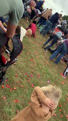 Candy Cannon Gone Wrong