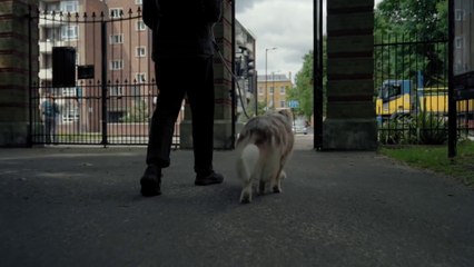 A man Walking With Dog.