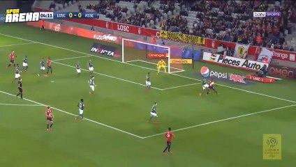 Lille yükselişini sürdürdü!