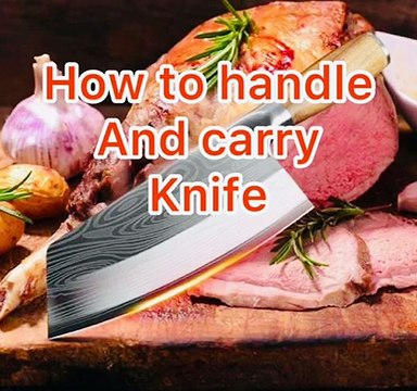 how to handle and carry your professional knife in kitchen restaurant takeaway food shop