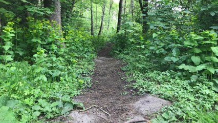 Orthodoxy vs. Orthopraxy: Understanding Key Religious Concepts ✨