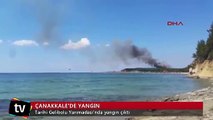Tarihi Gelibolu Yarımadası'nda yangın çıktı