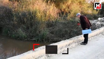 Gediz Nehri'nde korkutan görüntü