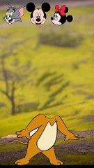 Cartooon wrong head puzzle | Tom and jerry puzzle