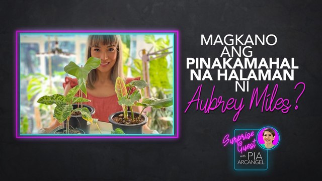 Magkano ang pinakamahal na halaman ni Aubrey Miles? | Surprise Guest with Pia Arcangel
