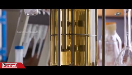 Canlı hücrelerle işlenmiş akıllı kumaş üretildi