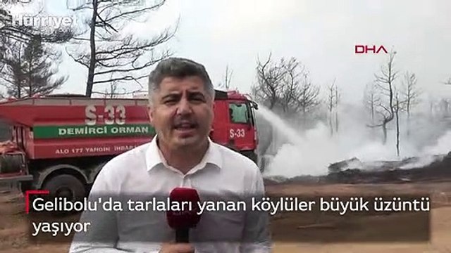 Gelibolu'da tarlaları yanan köylüler büyük üzüntü yaşıyor