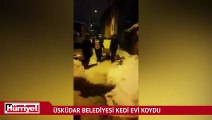 Üsküdar Belediyesi özel bir kedi evi kurdu