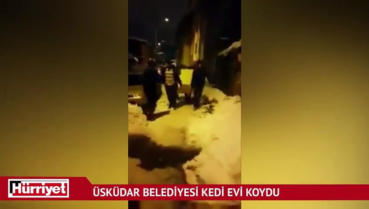 Üsküdar Belediyesi özel bir kedi evi kurdu