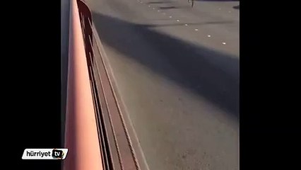 Köprüde geyik muhabbeti