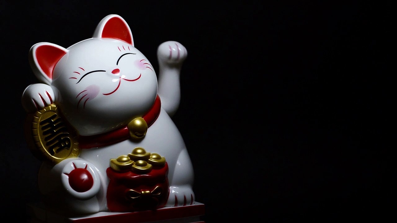 The Lucky Cat