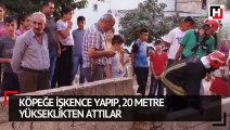 Köpeğe işkence yapıp, 20 metre yükseklikten attılar