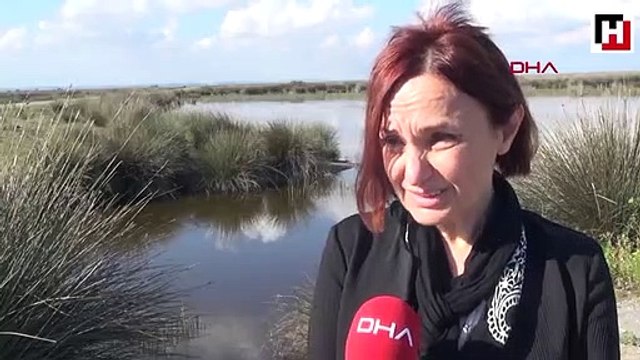 Kızılırmak Deltası Kuş Cenneti'ne giriş ücretli oluyor