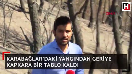 Karabağlar'daki yangından geriye kapkara bir tablo kaldı