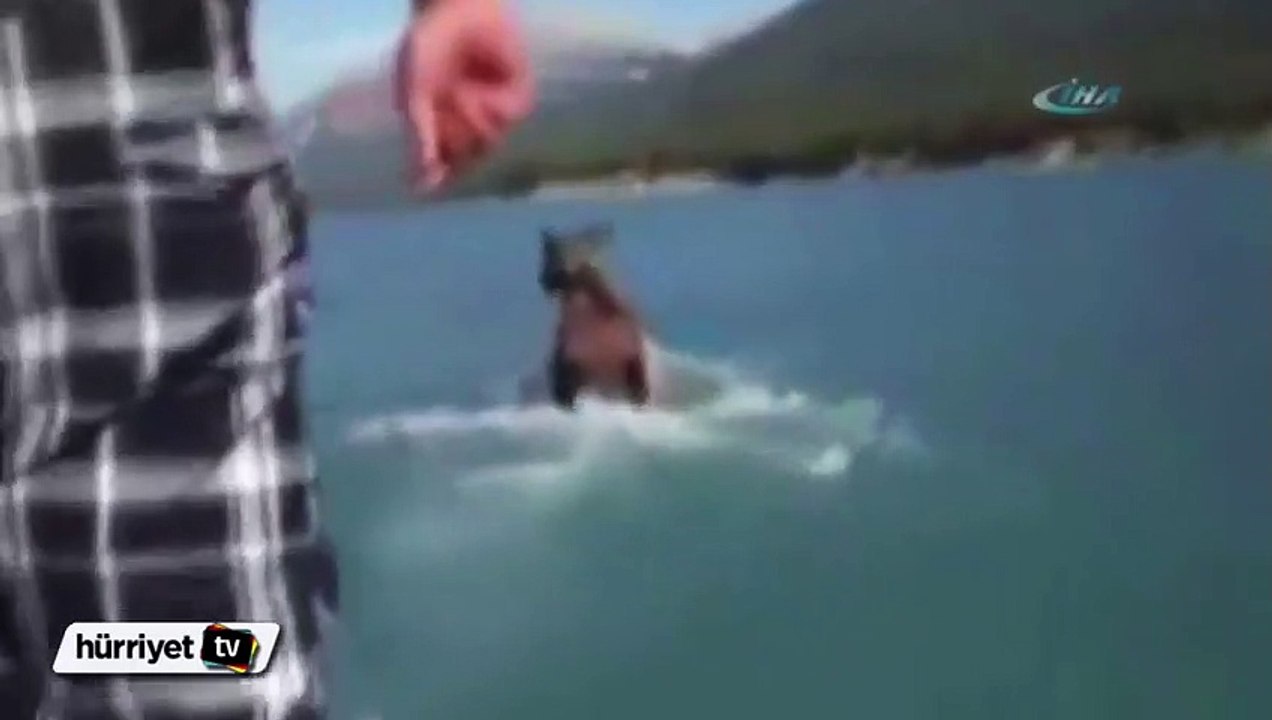 Geyik üstünde rodeo !