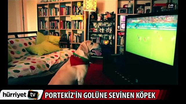 Portekiz'in golüne sevinen köpek