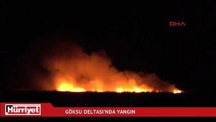 Göksu Deltası'nda yangın