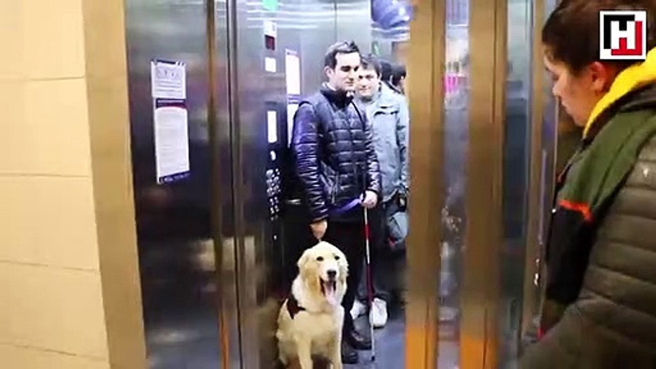 Tabs artık onun gözleri