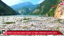 Midye dolmaların yüzde 91'inde mikroplastik çıktı