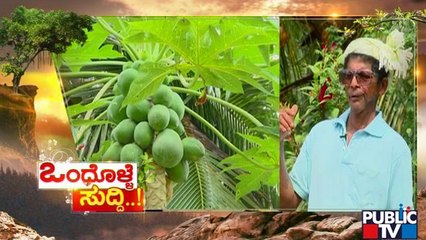 News Cafe | ಕೃಷಿ ಕೆಲಸ ಮಾಡುತ್ತಾ ಆರೋಗ್ಯ ಸುಧಾರಿಸಿಕೊಂಡ ರೈತ..! | Public TV