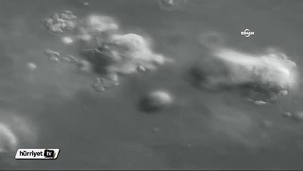 Kanserli bir tümörün oluşma anı ilk kez görüntülendi