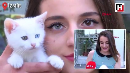 Kendisinin de kedisinin de gözleri farklı renk