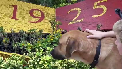 Minik Göztepelilerden sokak hayvanlarına anlamlı hareket