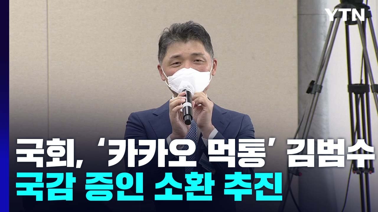 국회, '카카오 먹통'에 김범수 국감 증인 소환 추진 / YTN