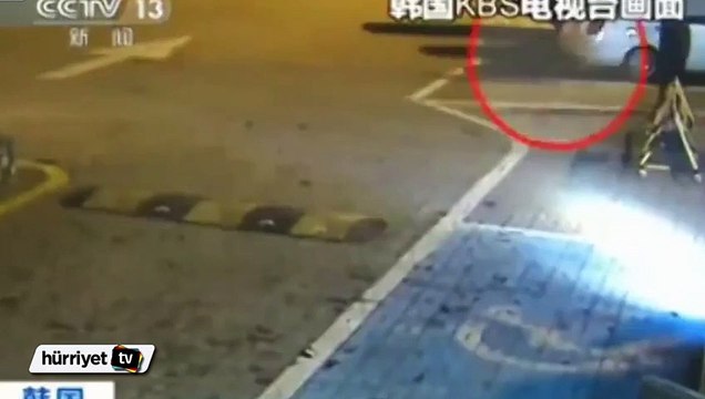 Yaban domuzu restorana girdi ortalık karıştı