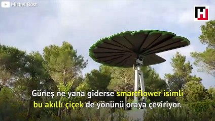Güneş enerjisini toplayan akıllı çiçek!