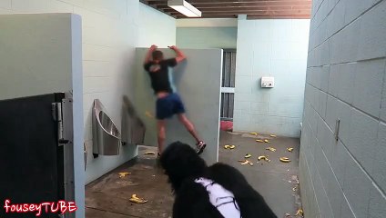 Tuvalette goril şoku!