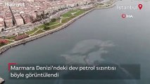 Hamsi avı yasaklanmıştı... Marmara Denizi’ndeki dev petrol sızıntısı böyle görüntülendi