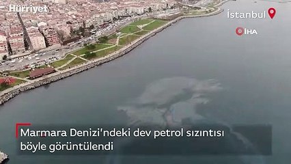 Hamsi avı yasaklanmıştı... Marmara Denizi’ndeki dev petrol sızıntısı böyle görüntülendi