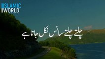 QABR | BAAP KI QABAR | MAYAT | Emotional Status | Heart Touching Status Tariq Jamil Emotional Status