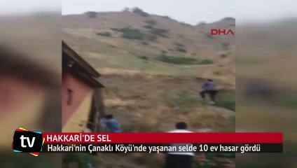 Hakkari'de sel: 300 koyun telef oldu 10 ev hasar gördü