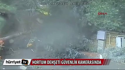 Ağaçlar devrildi hayvanlar havalarda uçuştu